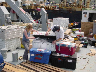 ahilting_unloading.jpg (56K)