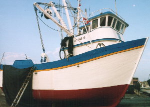 Anchoveta boat, Santa Rosa, Peru