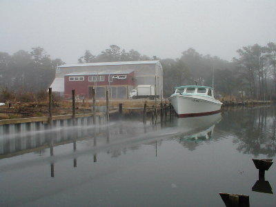 Ghost Shop