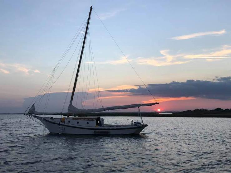 Natty Lou Skipjack at rest